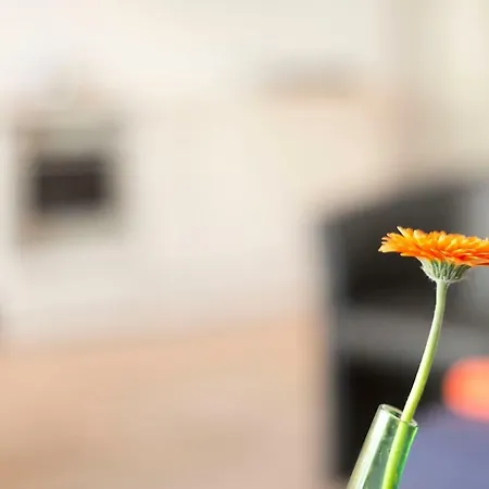 Apartment11 Wartburg * ケルン